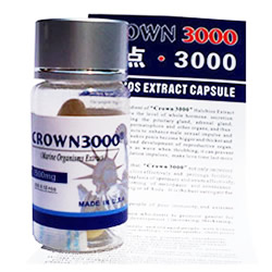 頂点3000(CROWN3000)